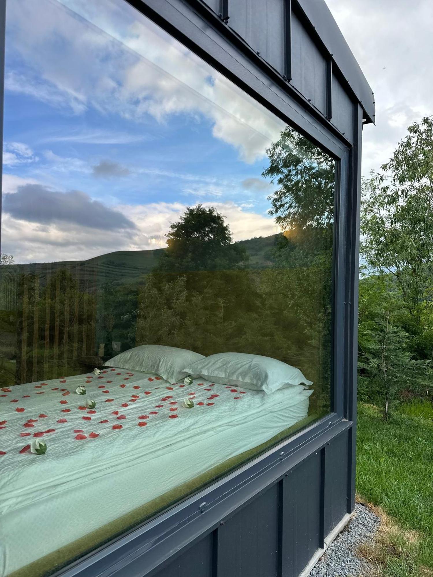 Kubiq Transalpina Villa Petresti Buitenkant foto